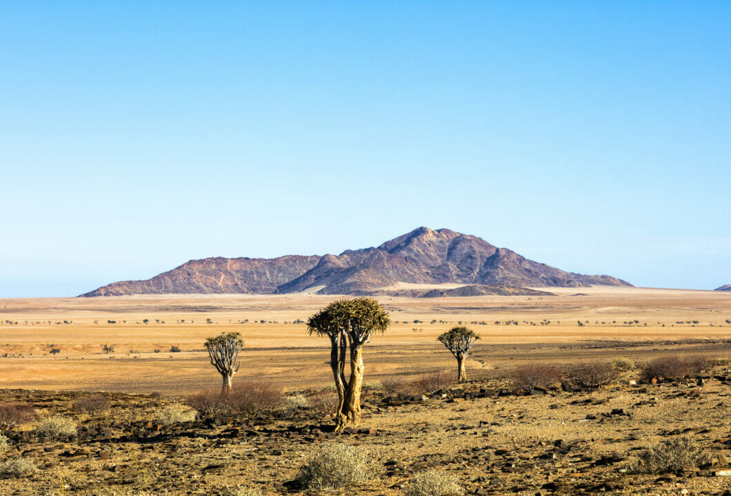 Kalahari Wüste - Juwel mit versteckten Reizen
